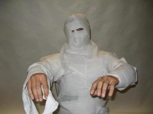 toilet paper mummy